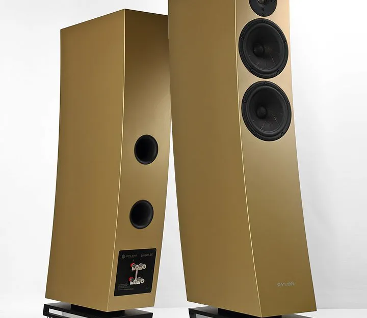 Pylon Audio Jasper 25 - TRANSPORT GRATIS - 50 rat 0 procent lub rabat