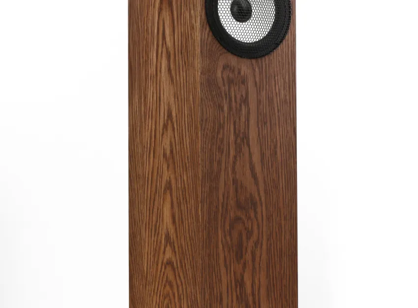 Pylon Audio Ruby 20 - TRANSPORT GRATIS - 50 rat 0 procent lub rabat