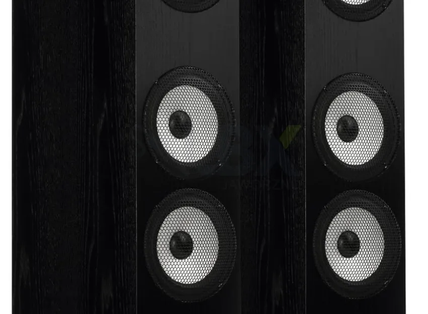 Pylon Audio Ruby 30 - TRANSPORT GRATIS - 50 rat 0 procent lub rabat