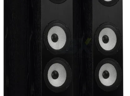 Pylon Audio Ruby 30 - TRANSPORT GRATIS - 50 rat 0 procent lub rabat